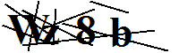 verification codes